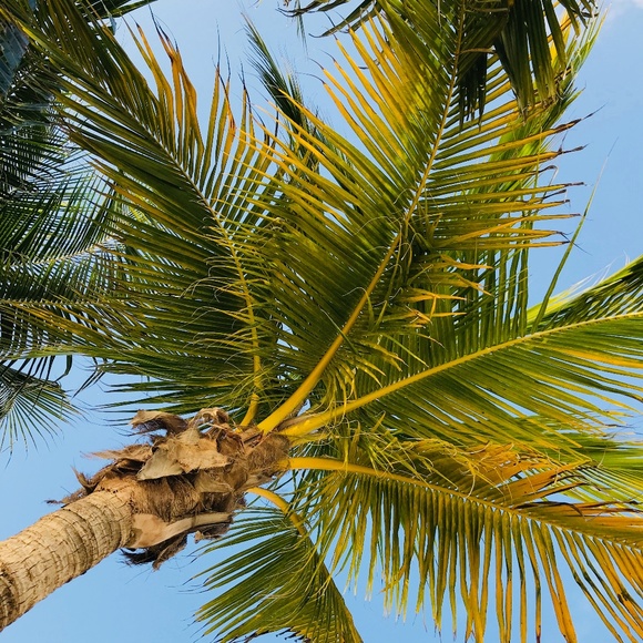 All About Me! - Picture 1 of 1